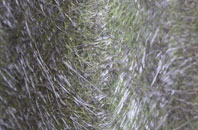 Lazonby fibreglass roof work